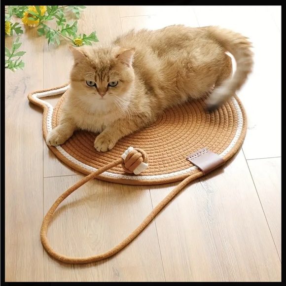 Cat scratching pad with toy, pet supplies - Picture 2 of 4